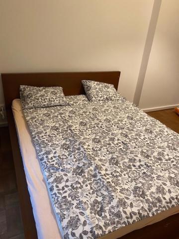Large 3 Bedroom Family Apartment Close To The River 布拉格 外观 照片